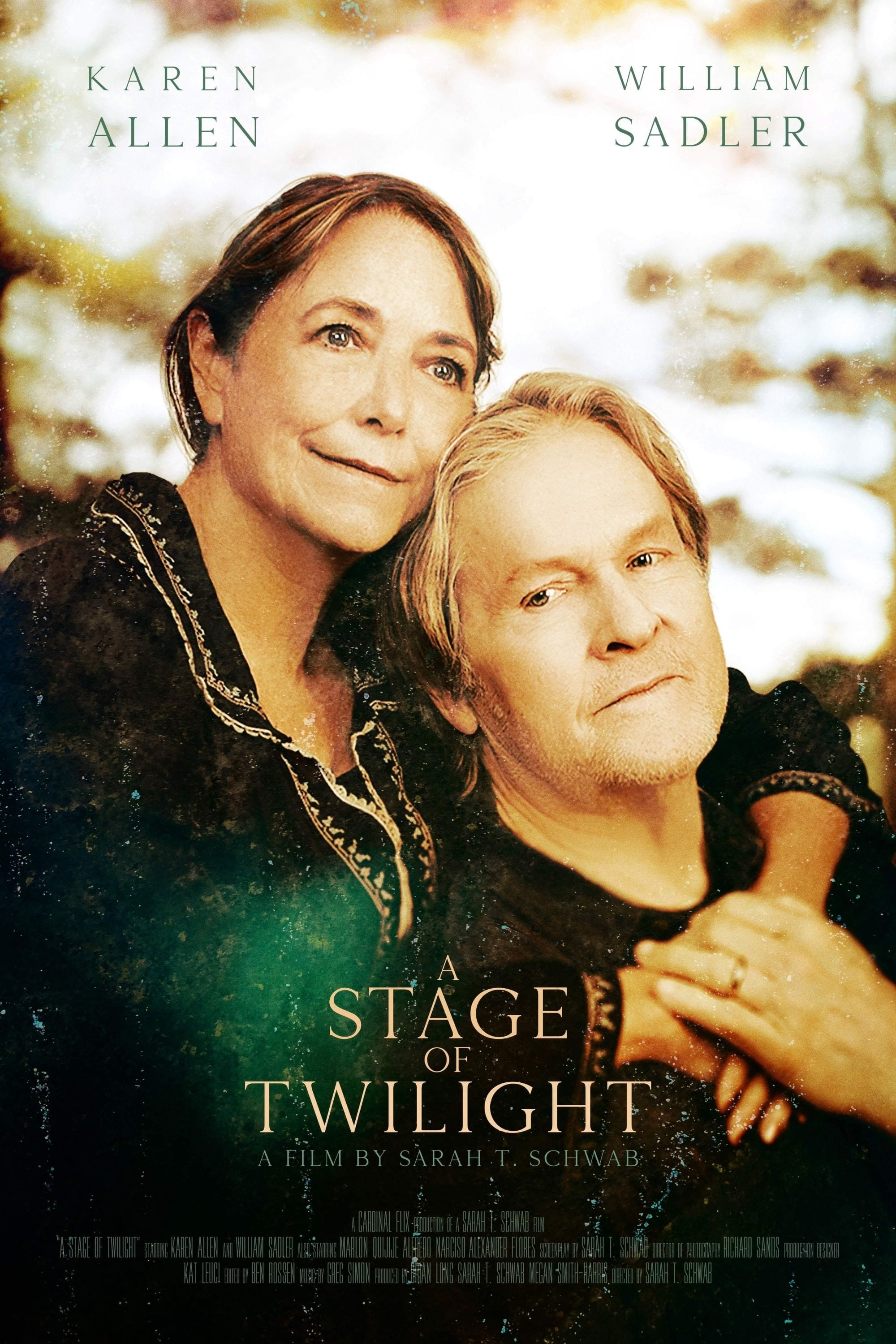 Постер A Stage of Twilight